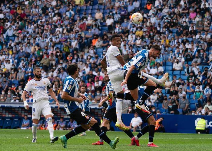  斯图加特足球俱乐部官网 